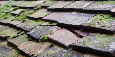 Ashfield roof repair costs